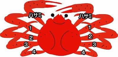 カニ カナダ産とロシア産の違い